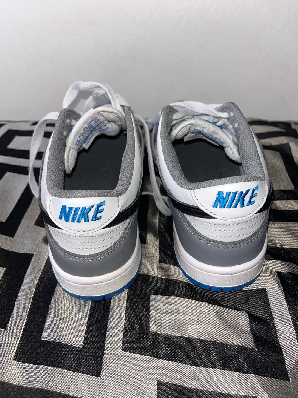 Big Kids Nike Dunk Low